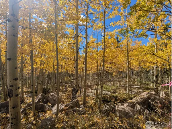 $649,000 | 0 Bear Gulch Road, Red Feather Lakes, CO 80545