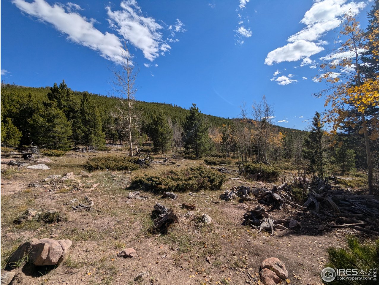 0 Bear Gulch Road Red Feather Lakes, CO 80545 - Photo 24 of 34 a view of a yard with mountain