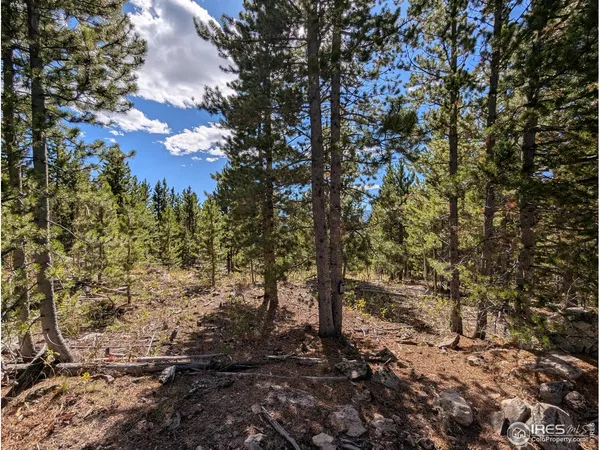 $649,000 | 0 Bear Gulch Road, Red Feather Lakes, CO 80545