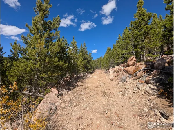 $649,000 | 0 Bear Gulch Road, Red Feather Lakes, CO 80545