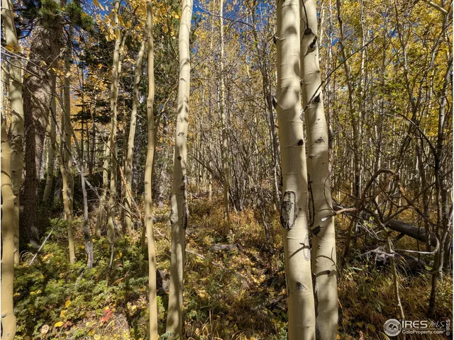 $667,000 | 0 Bear Gulch Road, Red Feather Lakes, CO 80545