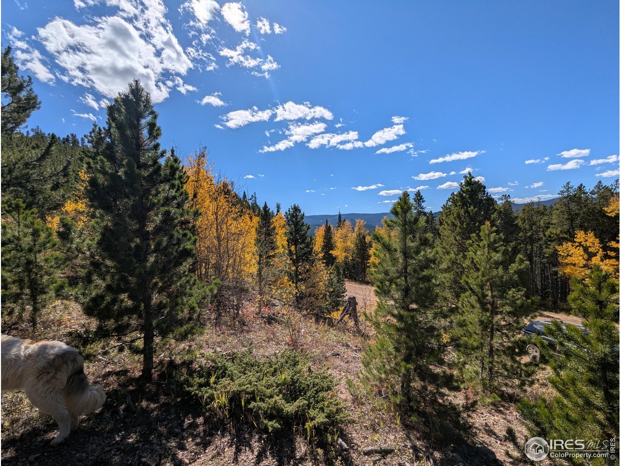 0 Bear Gulch Road Red Feather Lakes, CO 80545 - Photo 3 of 42