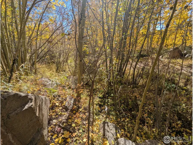 $667,000 | 0 Bear Gulch Road, Red Feather Lakes, CO 80545