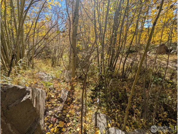$649,000 | 0 Bear Gulch Road, Red Feather Lakes, CO 80545