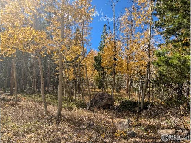 $667,000 | 0 Bear Gulch Road, Red Feather Lakes, CO 80545