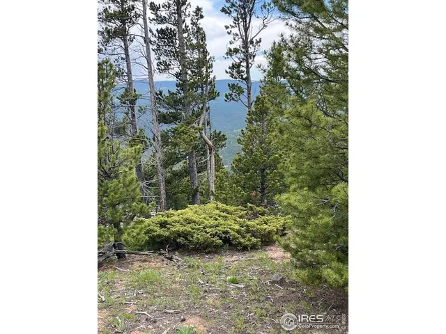 $667,000 | 0 Bear Gulch Road, Red Feather Lakes, CO 80545