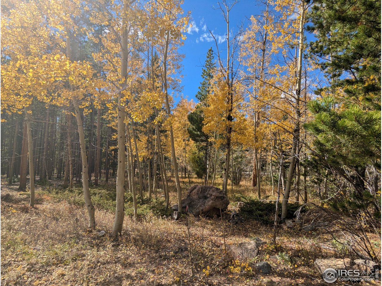 0 Bear Gulch Road Red Feather Lakes, CO 80545 - Photo 33 of 42