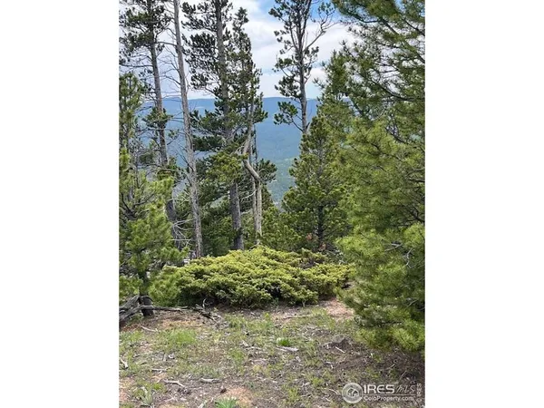 $649,000 | 0 Bear Gulch Road, Red Feather Lakes, CO 80545