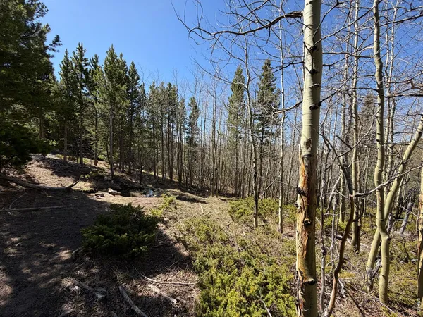 $649,000 | 0 Bear Gulch Road, Red Feather Lakes, CO 80545