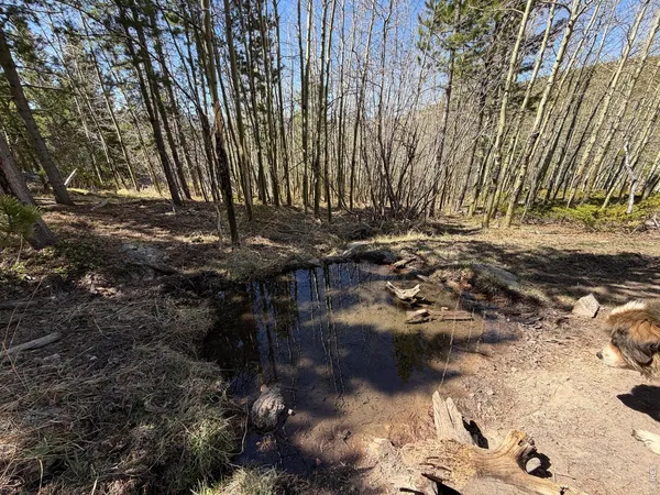 $649,000 | 0 Bear Gulch Road, Red Feather Lakes, CO 80545