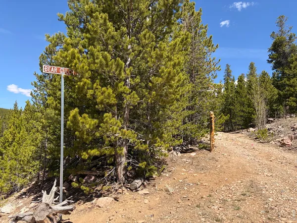 $649,000 | 0 Bear Gulch Road, Red Feather Lakes, CO 80545