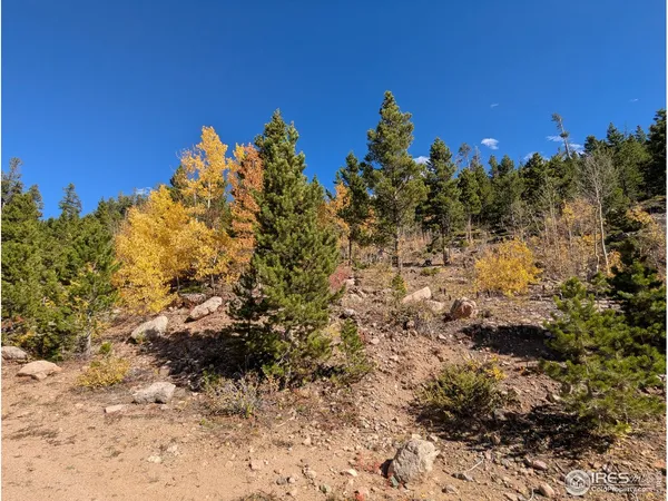 $649,000 | 0 Bear Gulch Road, Red Feather Lakes, CO 80545