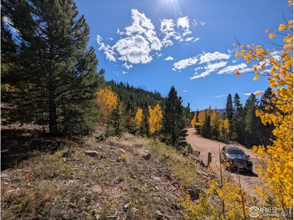 a view of a yard with a tree