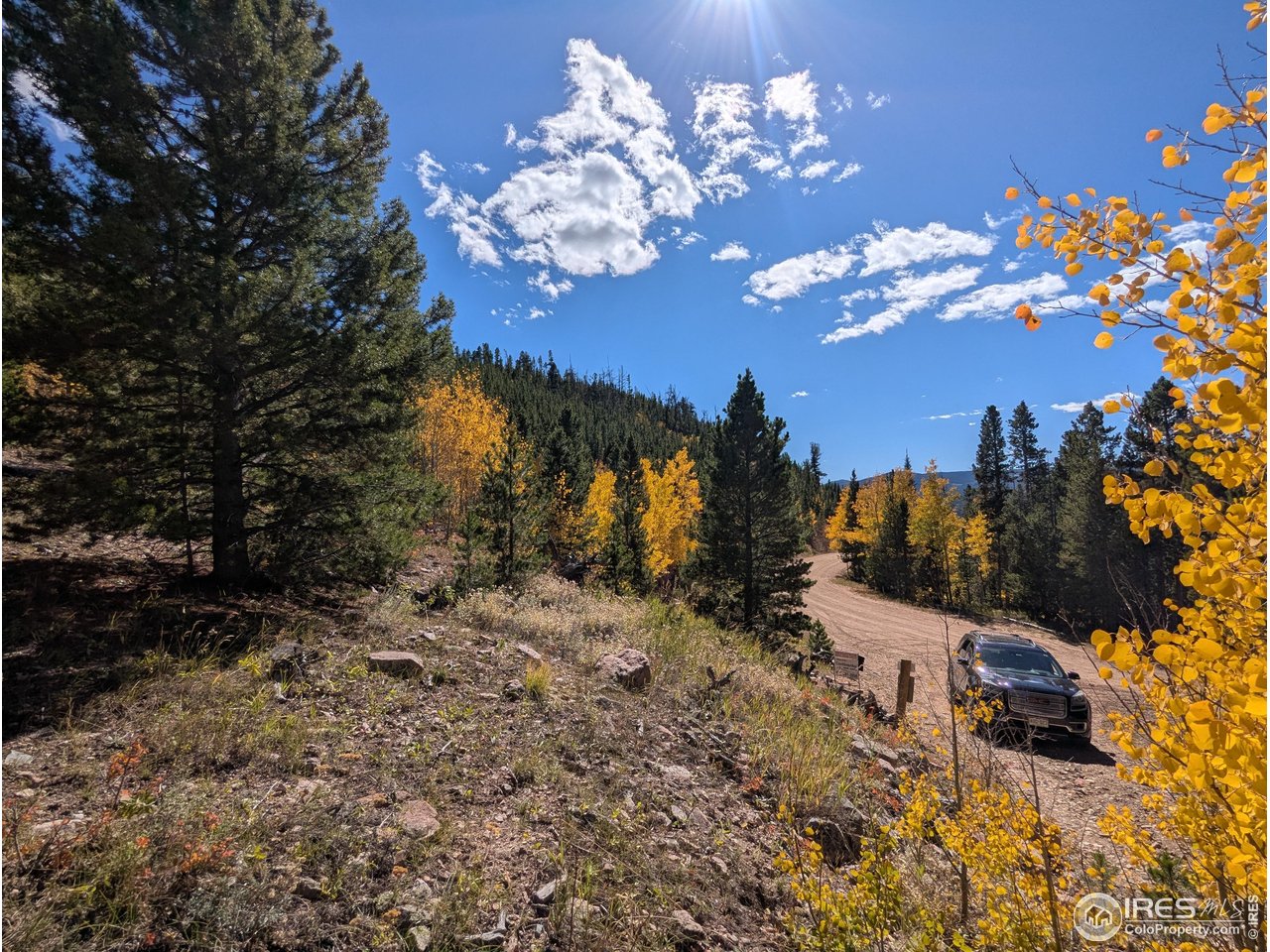 0 Bear Gulch Road Red Feather Lakes, CO 80545 - Photo 4 of 34