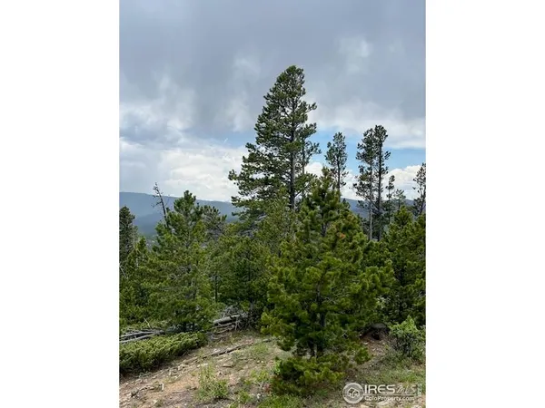 $649,000 | 0 Bear Gulch Road, Red Feather Lakes, CO 80545