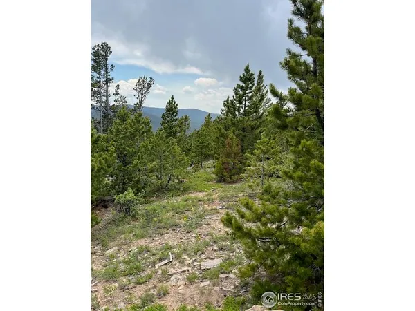 $649,000 | 0 Bear Gulch Road, Red Feather Lakes, CO 80545