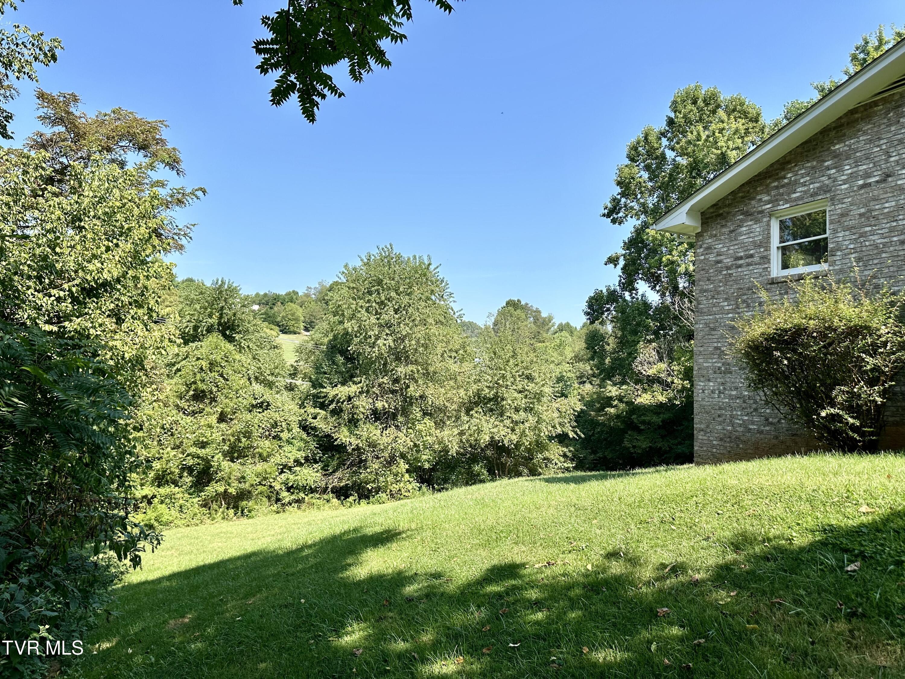 291 River Road Bluff City, TN 37618 - Photo 7 of 26 IMG_6836