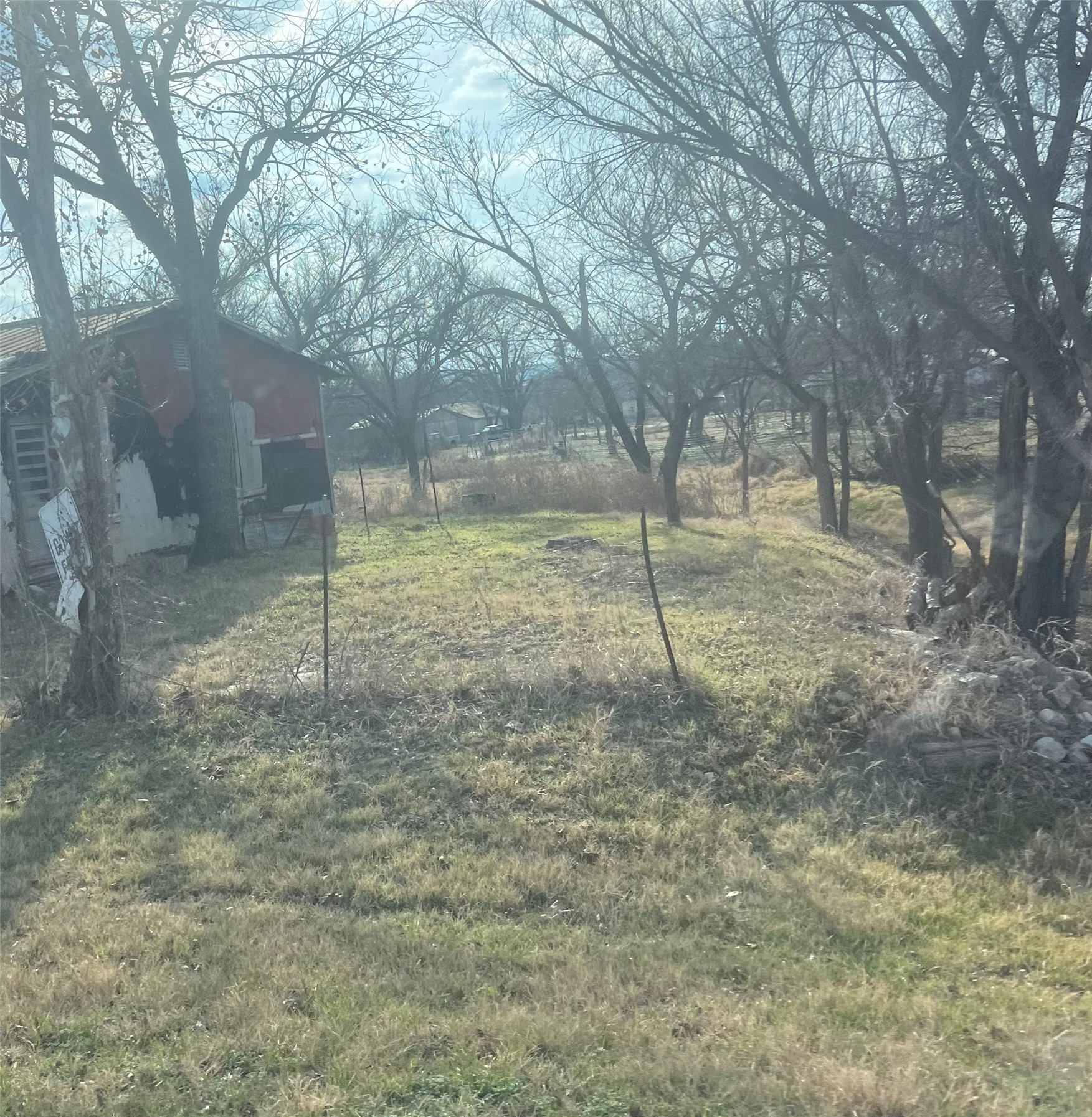 1110 Bluebonnet Road Mason, TX 76856 - Photo 5 of 11 View of green lawn