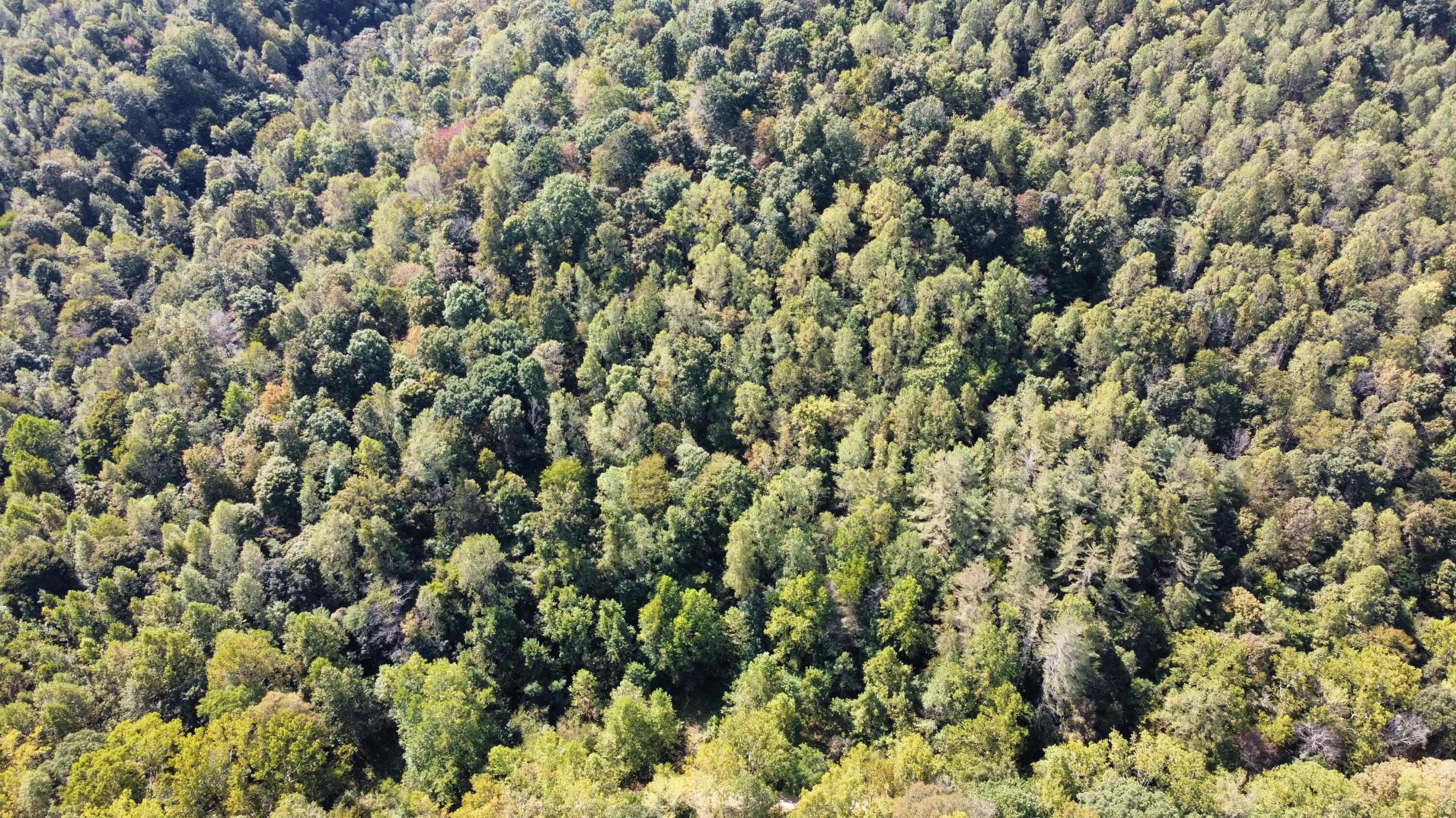 0 Beech Fork Road Peebles, OH 45660 - Photo 23 of 31 dji_export_1757780304680
