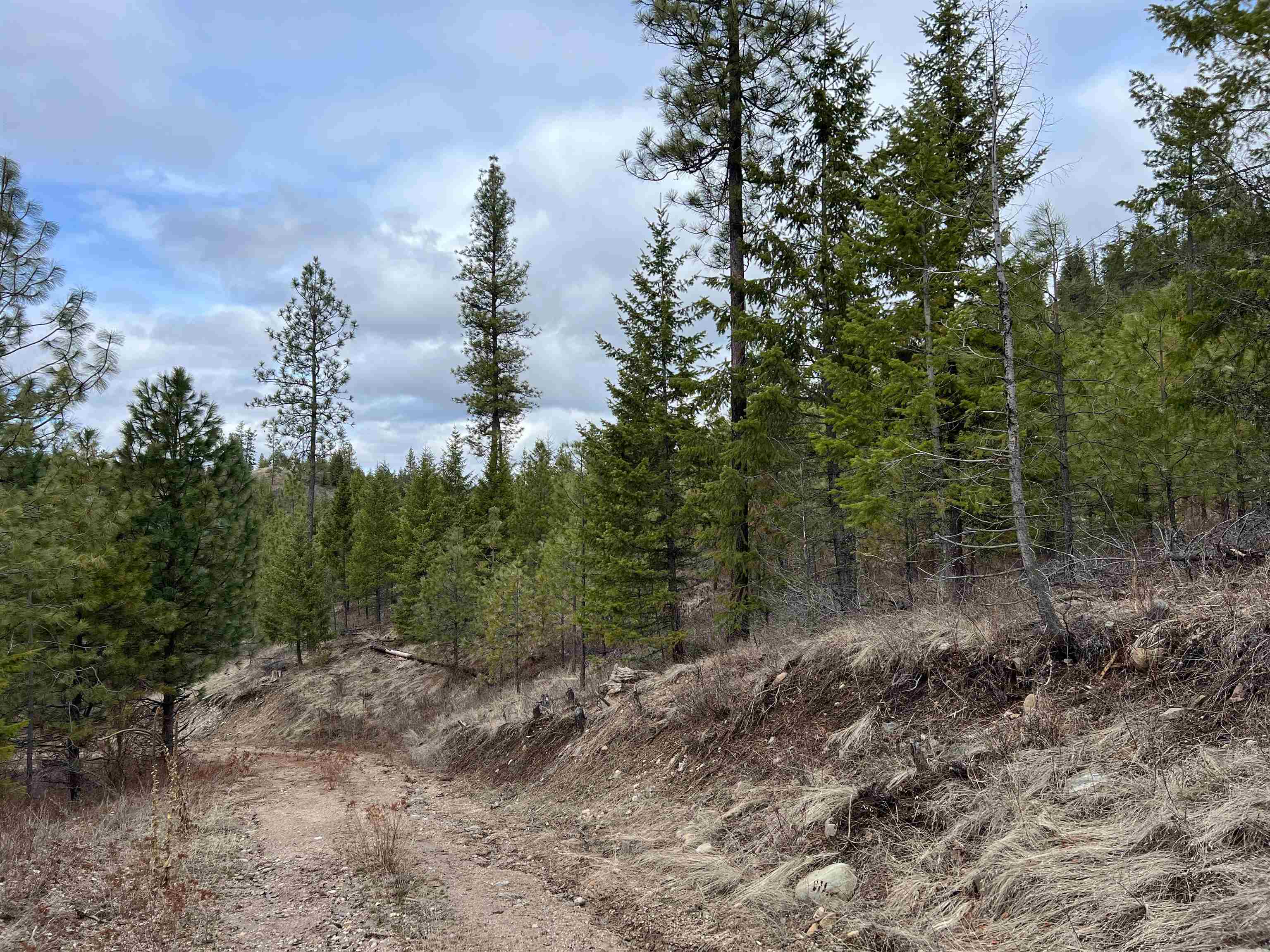 352 X Green Road Valley, WA 99181 - Photo 10 of 32