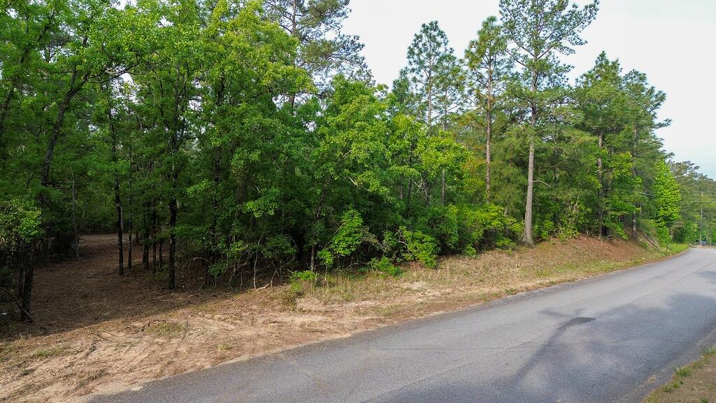 0 Mt Zion Road, Unit 5 Trenton, SC 29847 - Photo 24 of 26