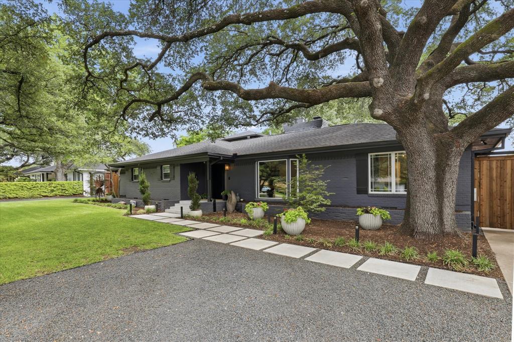 6914 Northaven Road Dallas, TX 75230 - Photo 2 of 40 Front garden, featuring a massive oak tree and a Japanese maple. Garden art and planterss can convey with property.
