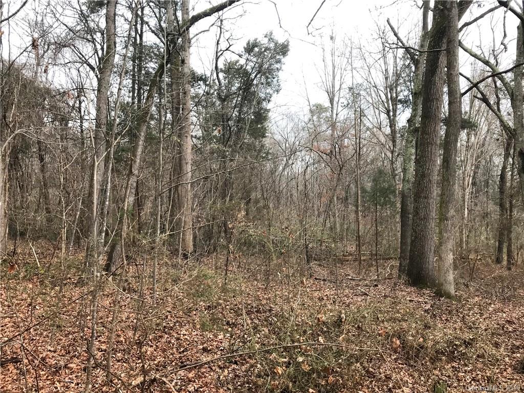 1335 Childers Road Cleveland, NC 27013 - Photo 12 of 18