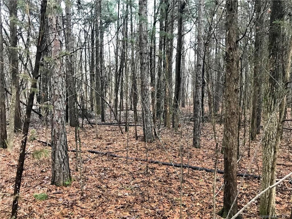 1335 Childers Road Cleveland, NC 27013 - Photo 8 of 18
