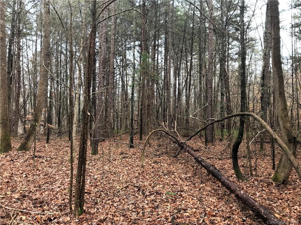 1335 Childers Road Cleveland, NC 27013 - Photo 9 of 18