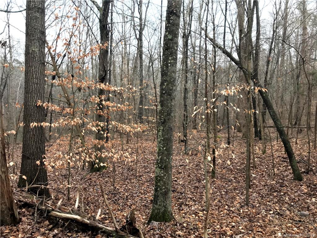 1335 Childers Road Cleveland, NC 27013 - Photo 10 of 18