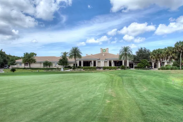 a view of a park with palm trees