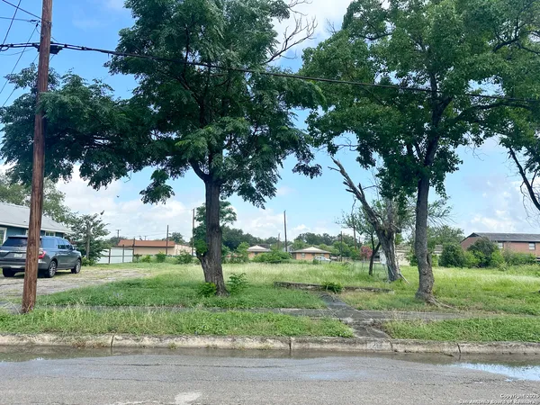 a big yard with lots of green space and palm tree