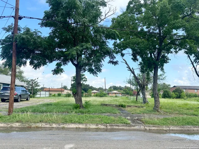 a big yard with lots of green space and palm tree