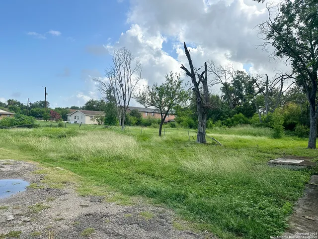 a view of a park with large trees