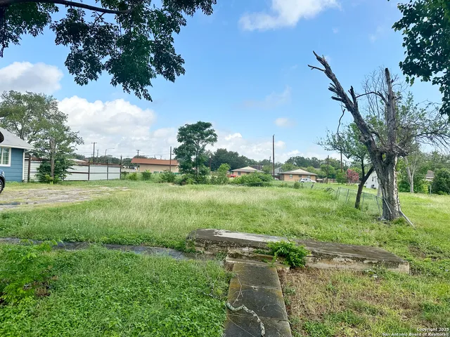 a view of a garden with a tree