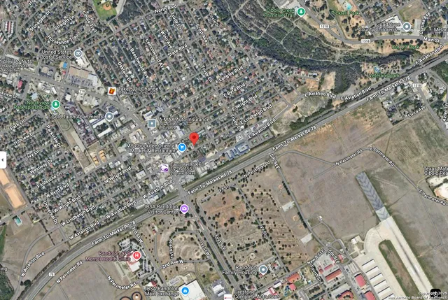 a close up of a plant