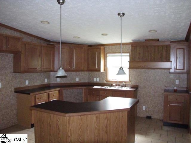 3996 Neely Ferry Road Laurens, SC 29360 - Photo 4 of 12