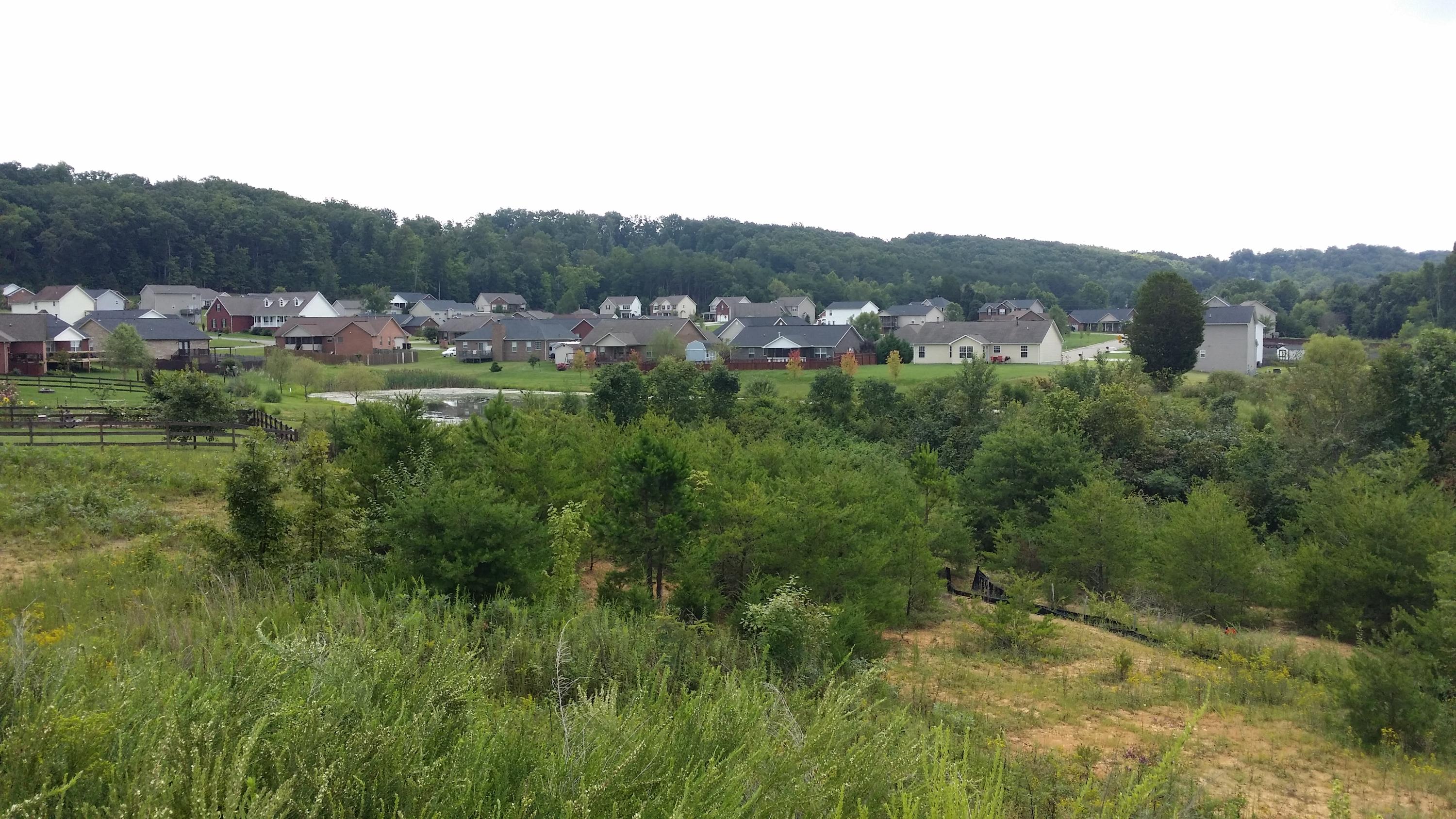 Ruby Jane Lane Corryton, TN 37721 - Photo 11 of 15 20140826_130541