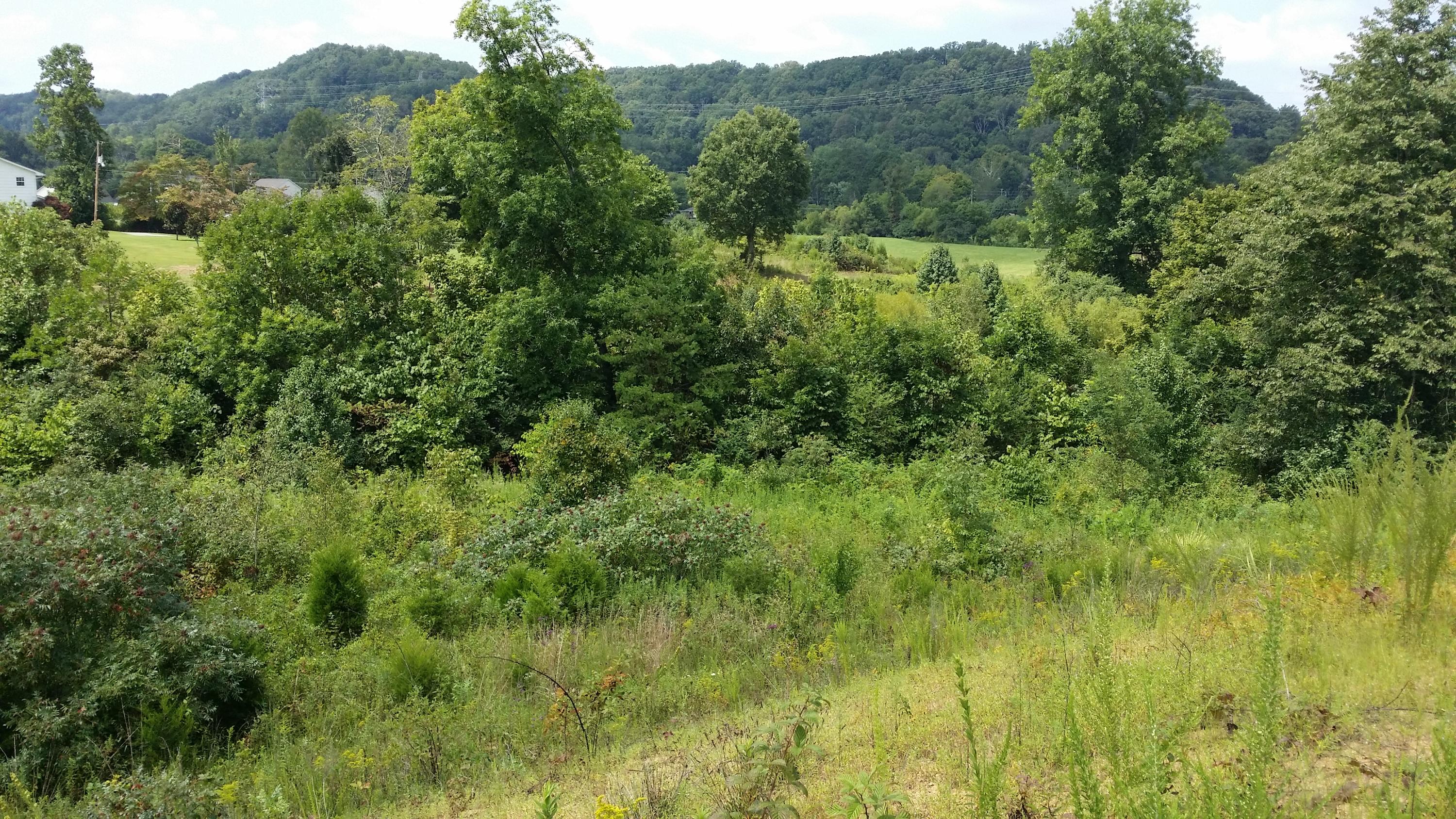 Ruby Jane Lane Corryton, TN 37721 - Photo 12 of 15 20140826_130547