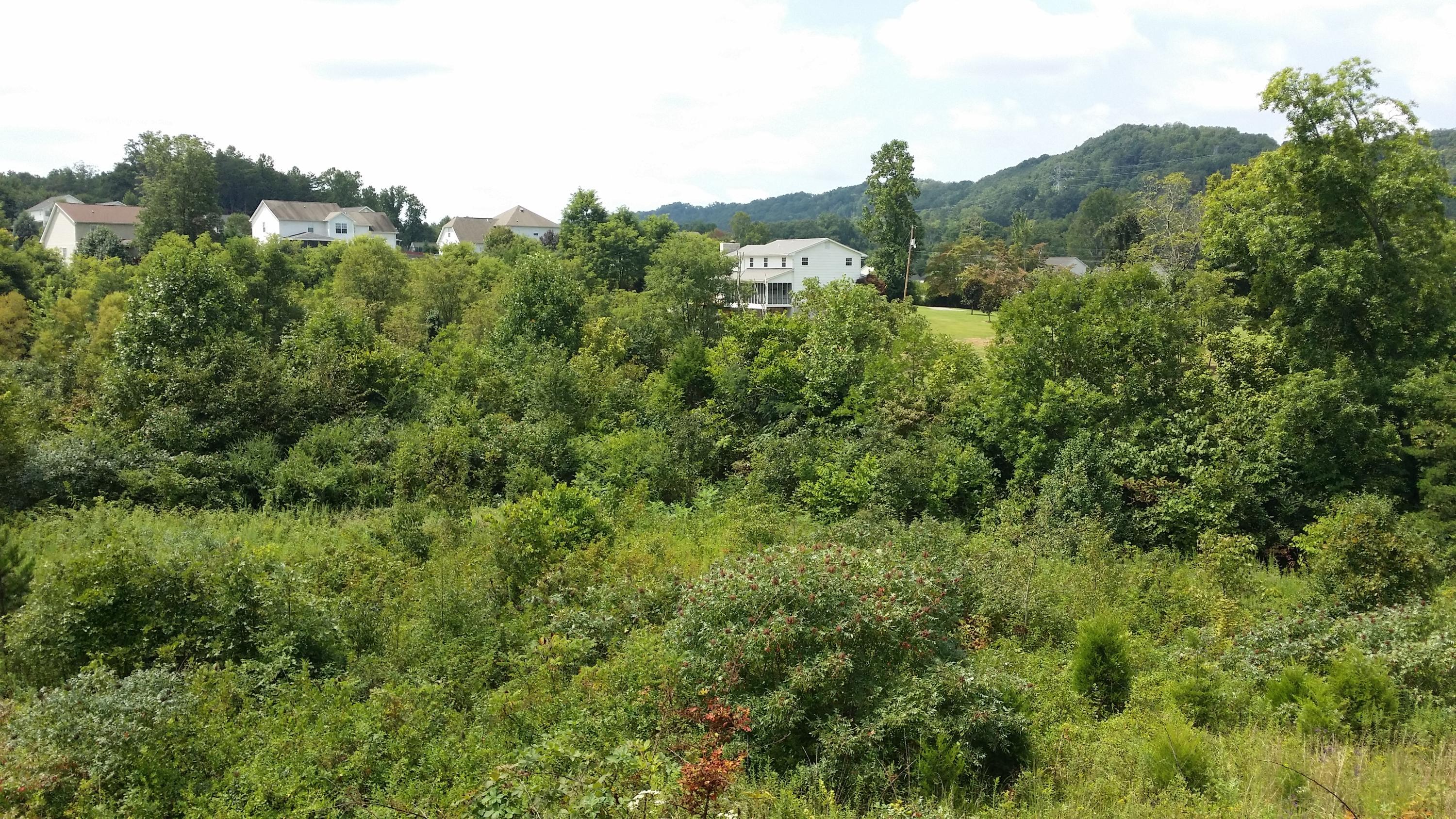 Ruby Jane Lane Corryton, TN 37721 - Photo 13 of 15 20140826_130553