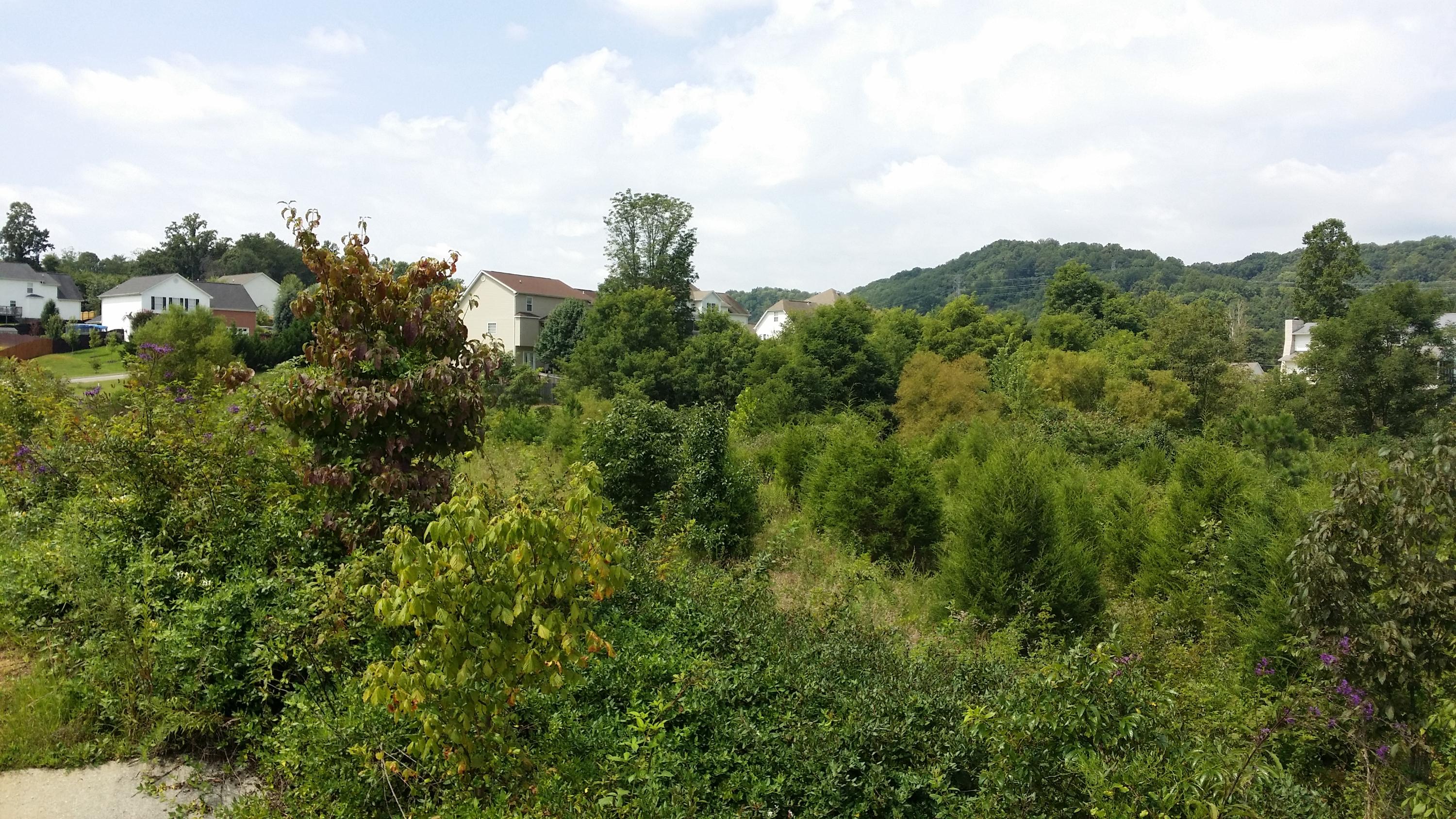 20140826_123916