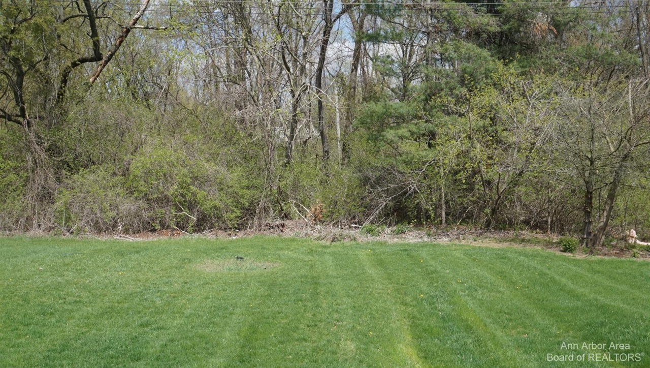 3871 Judd Road, Unit : 1 Milan, MI 48160 - Photo 14 of 14