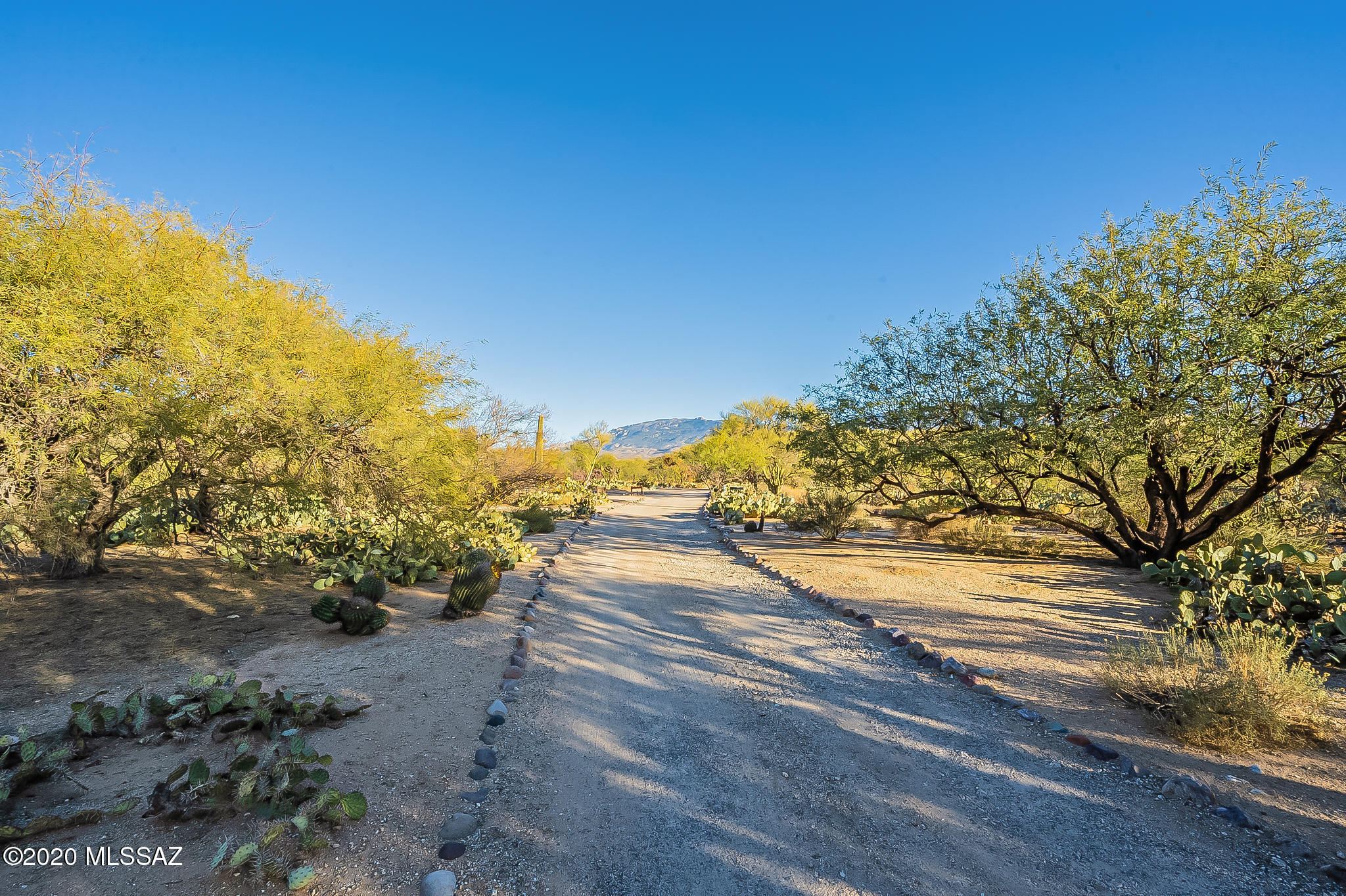 2911 North Wentworth Road Tucson, AZ 85749 - Photo 5 of 50 Gallery Image 5