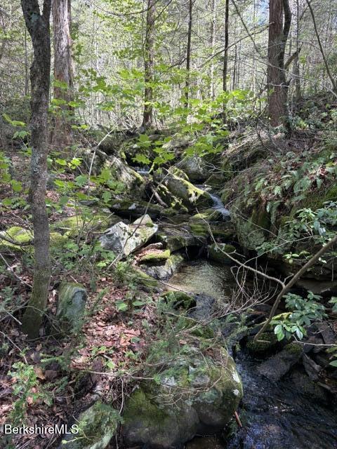 2110 West Center Road Otis, MA 01253 - Photo 29 of 34 IMG_4044
