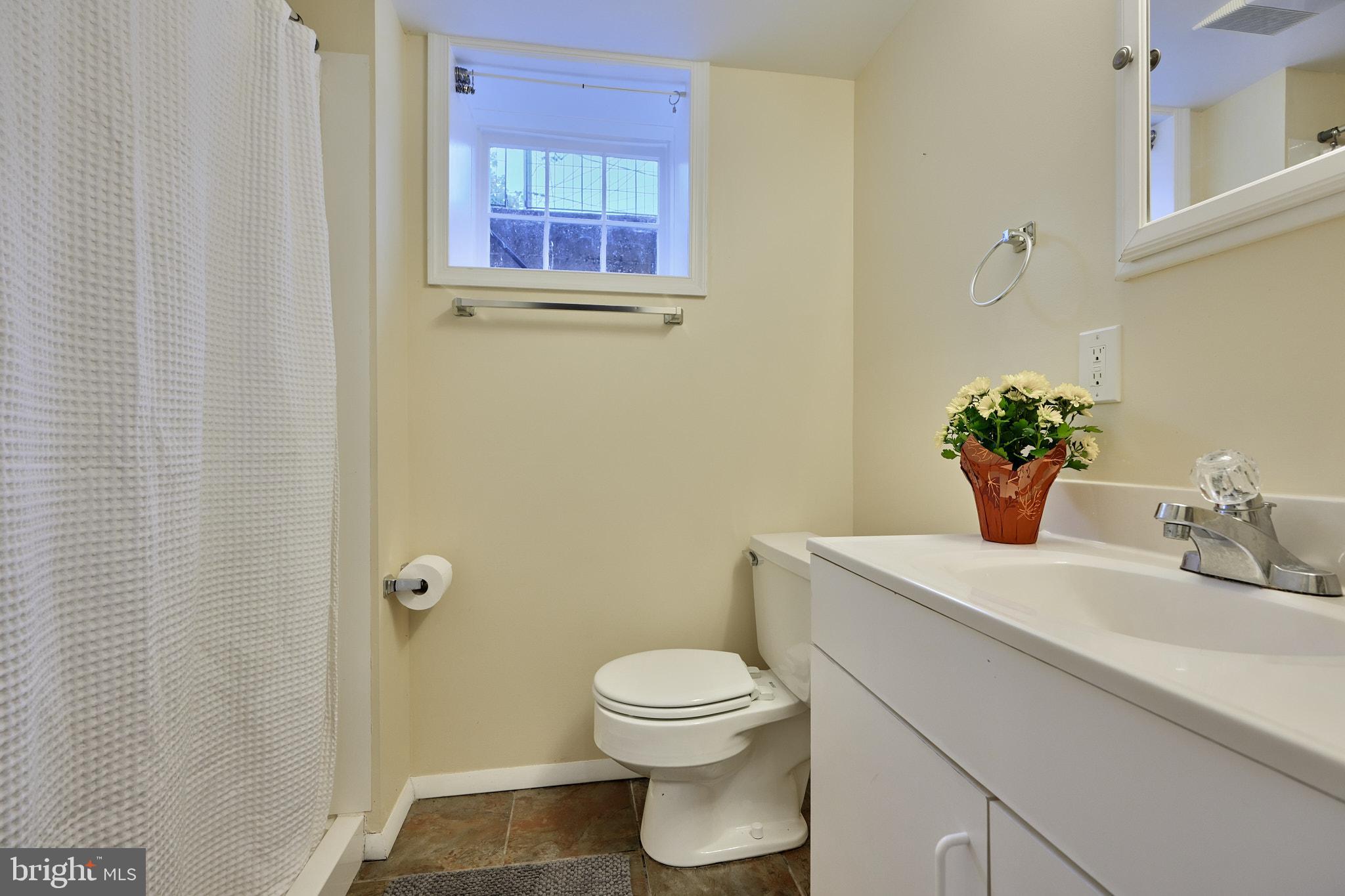 217 Dumbarton Road Baltimore, MD 21212 - Photo 39 of 55