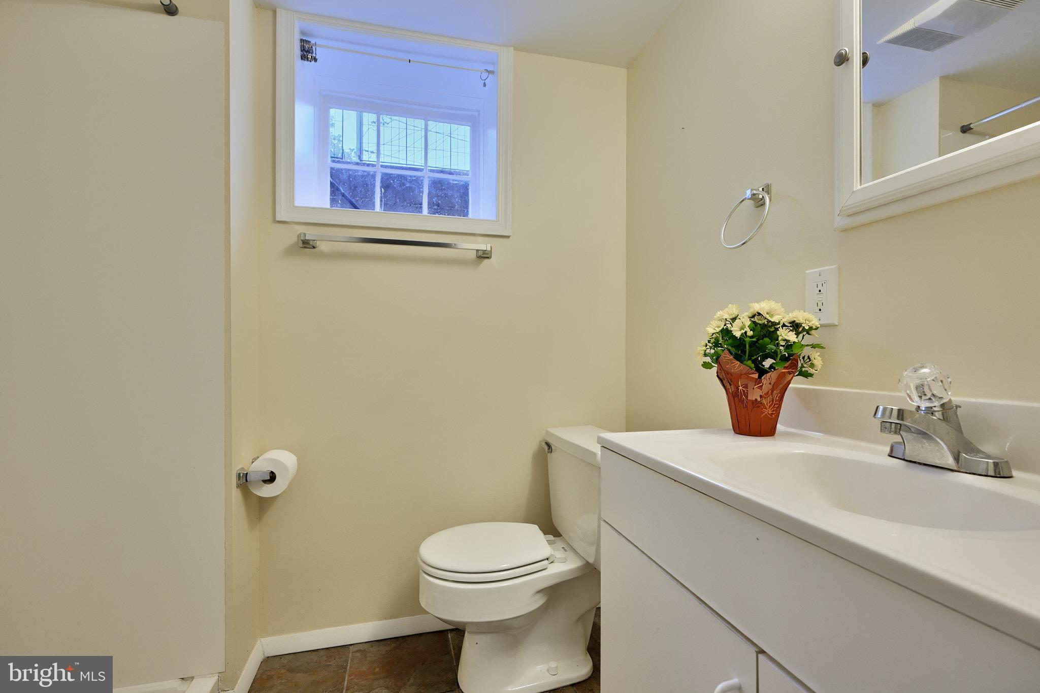 217 Dumbarton Road Baltimore, MD 21212 - Photo 40 of 55