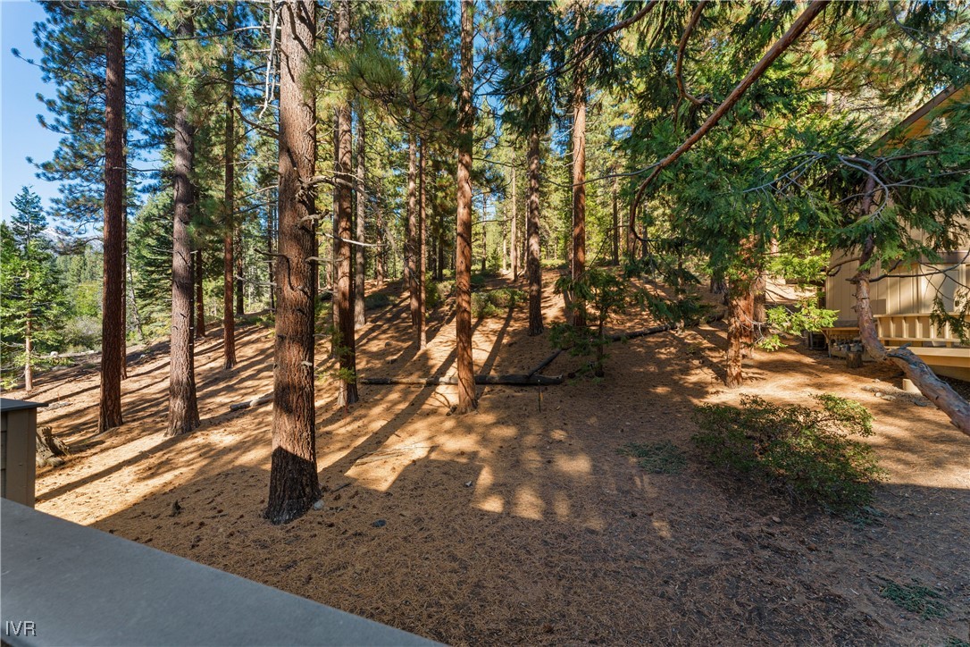 321 Ski Way, Unit 16 Incline Village, NV 89451 - Photo 12 of 23 a view of a yard with large tree