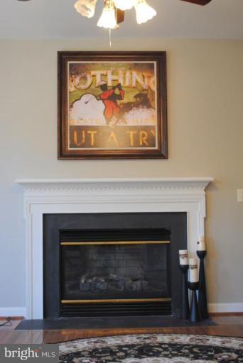 47659 Rhyolite Place Sterling, VA 20165 - Photo 13 of 25 Gas Fireplace