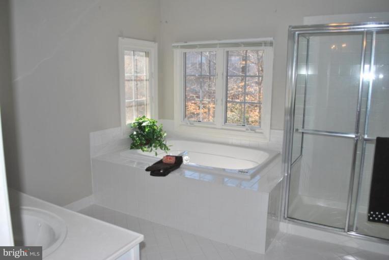 47659 Rhyolite Place Sterling, VA 20165 - Photo 19 of 25 Luxury MBA