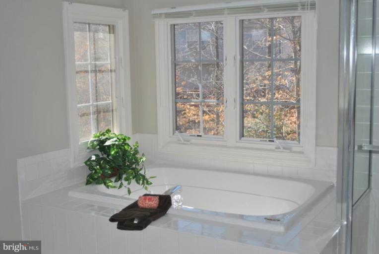 47659 Rhyolite Place Sterling, VA 20165 - Photo 20 of 25 Deep Soaking Tub